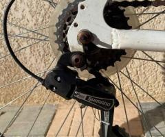 Vélo Scrapper aluminium importé