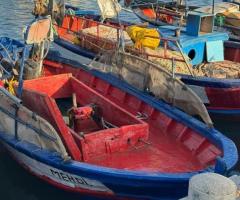 bateau de peche avec congé a vendre