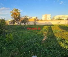 annonce pour terrain a vendre gremda sfax