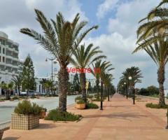 a hammamet sud a vendre un terrain occasion a saisir annonce